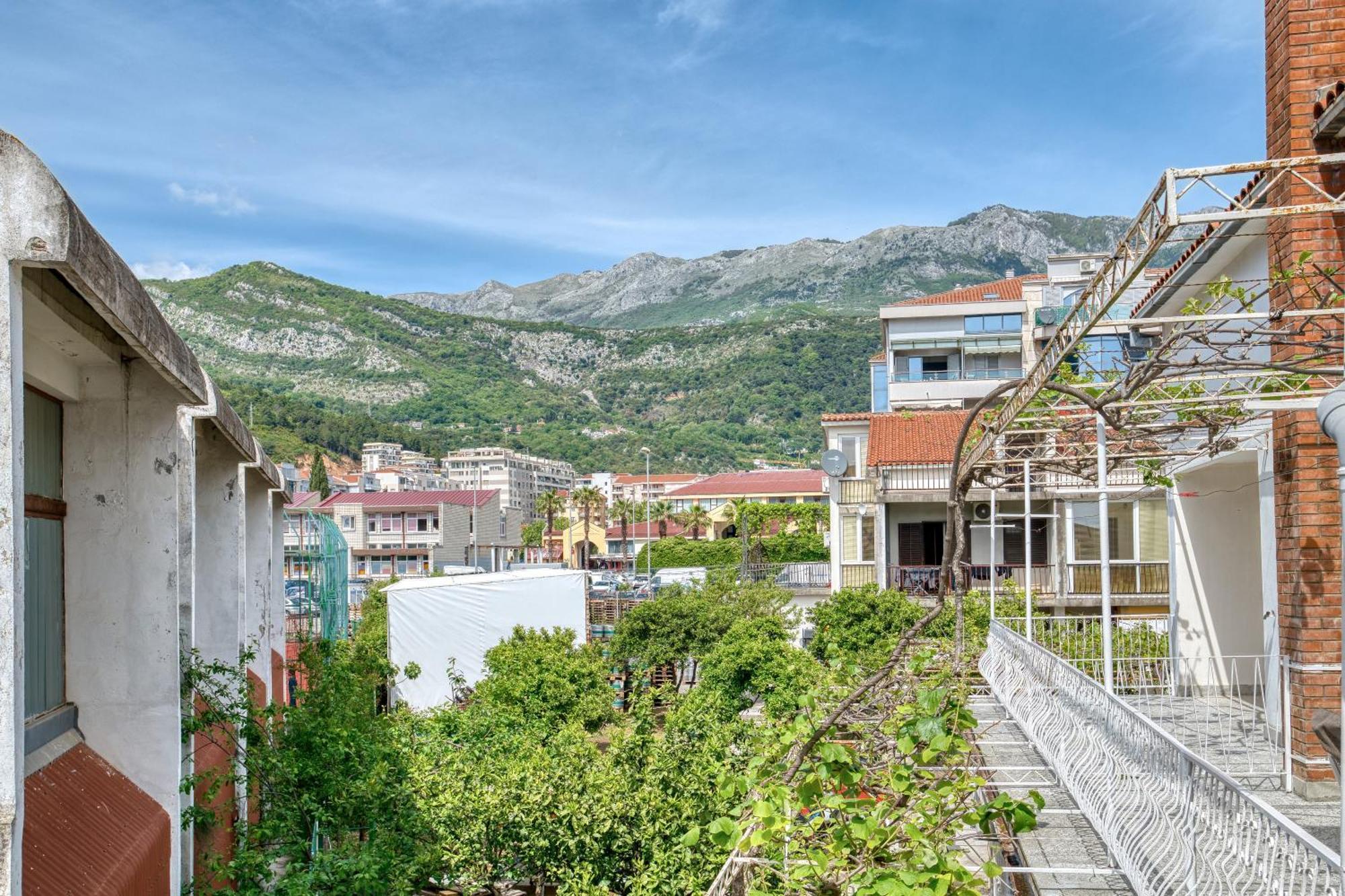 Elena * Budva